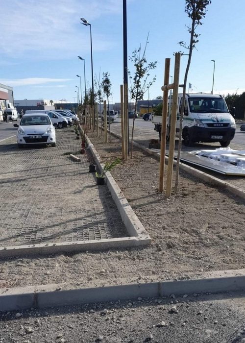 Plantage d'arbres sur un parking Vincent de Palmas paysagiste arles-jardinier paysagiste fourques-entretenir son jardin fontvieille-espaces verts maussane-ecologie nimes-jardinier avignon-permaculture saintes maries de la mer